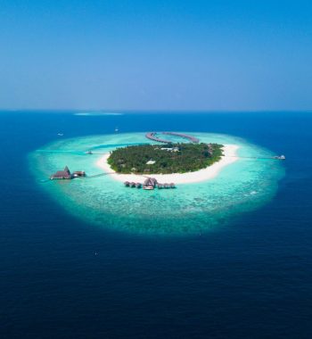 zunnoon-ahmed-06Fc_R9hA8w-unsplash zunnoon-ahmed-06Fc_R9hA8w-unsplash